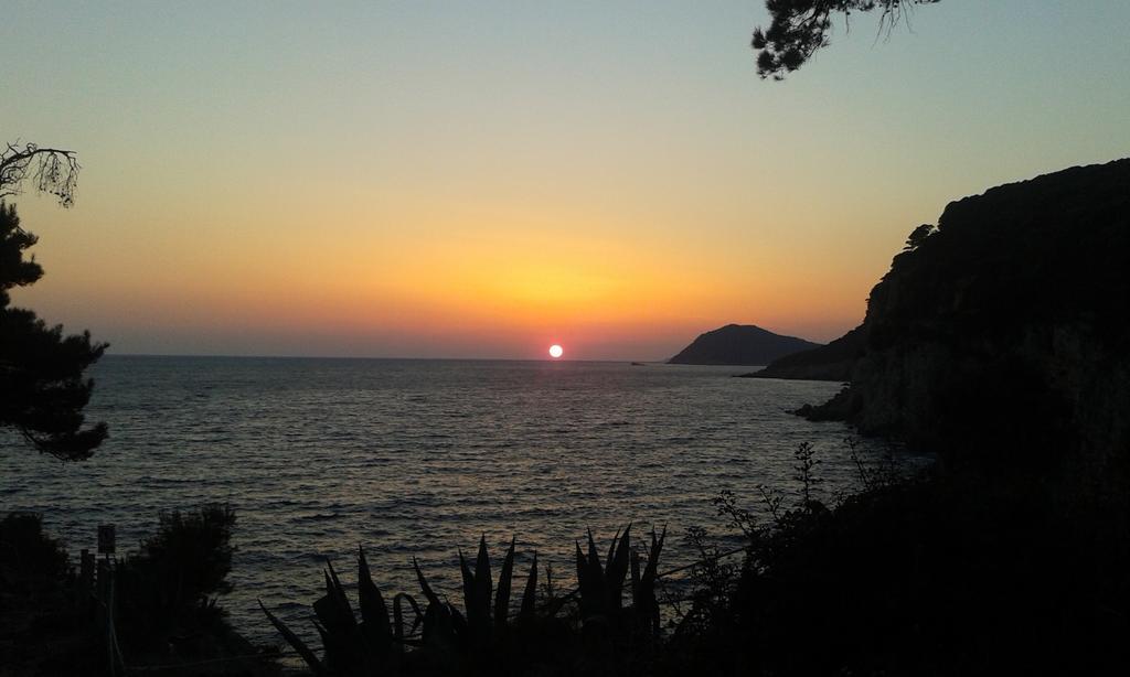 Apartment Lujak Donje Celo Δωμάτιο φωτογραφία