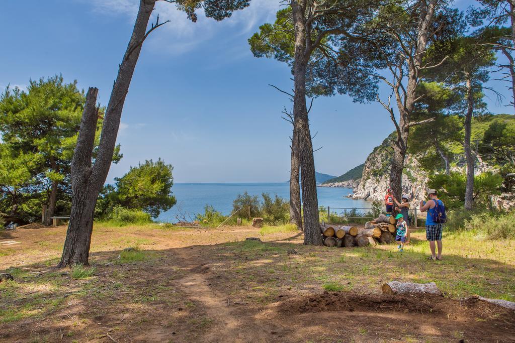 Apartment Lujak Donje Celo Εξωτερικό φωτογραφία